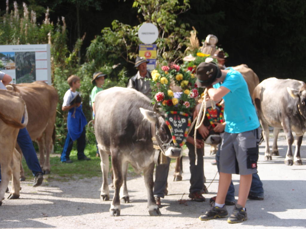 Hauseggerhof Villa แลงเงนเฟลด์ ภายนอก รูปภาพ